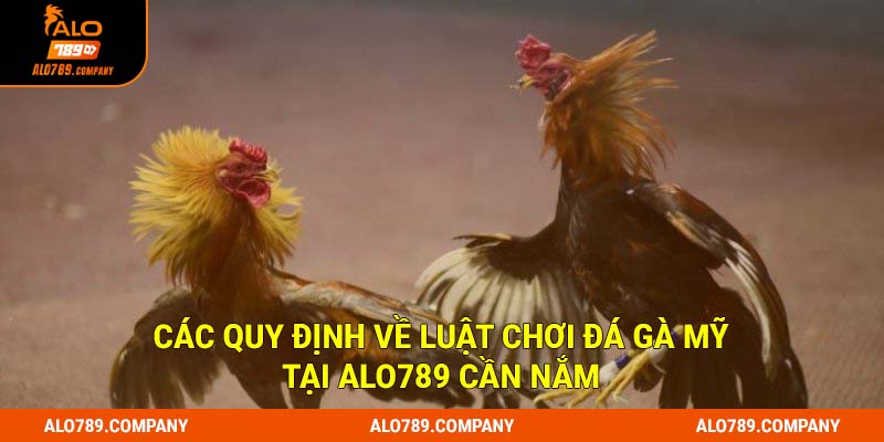 Các quy định về luật chơi đá gà mỹ tại Alo789 cần nắm