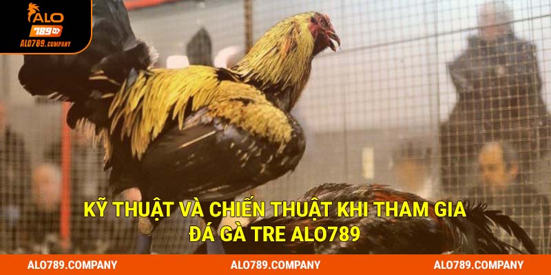 Đá Gà Tre ALO789 - Trải Nghiệm Những Trận Đấu Kê Kịch Tính 3 Kỹ thuật và chiến thuật khi tham gia đá gà tre Alo789