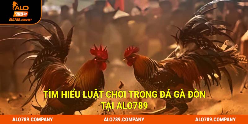 Tìm hiểu luật chơi trong Đá gà đòn tại Alo789