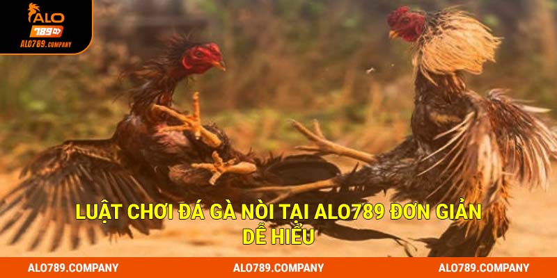 Luật chơi đá gà nòi tại Alo789 đơn giản dễ hiểu