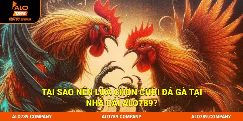 Tại sao nên lựa chọn chơi đá gà tại nhà cái Alo789?